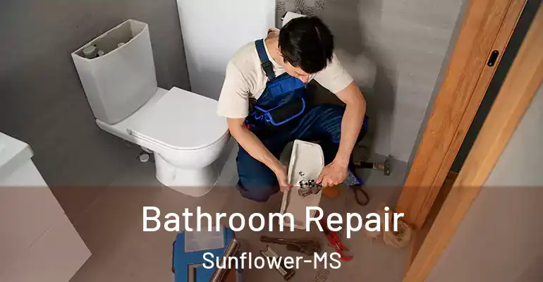 inner Bathroom imggen Bathroom Repair Sunflower-MS