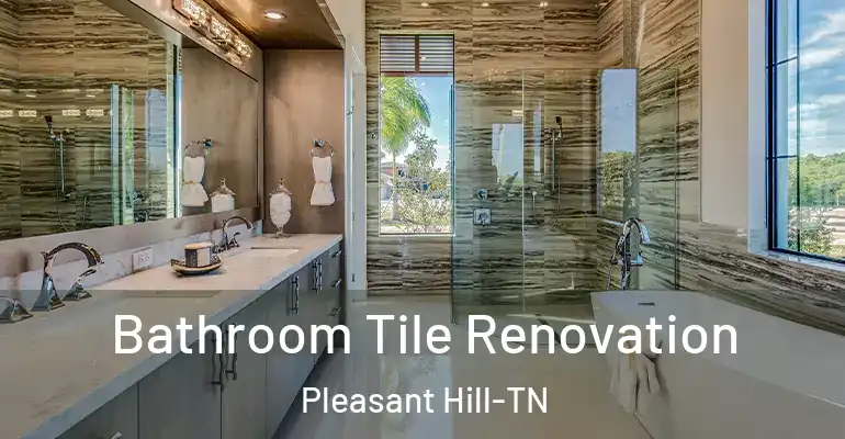 inner Bathroom imggen Bathroom Tile Renovation Pleasant Hill-TN