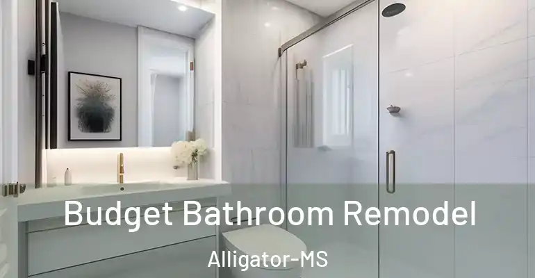 inner Bathroom imggen Budget Bathroom Remodel Alligator-MS