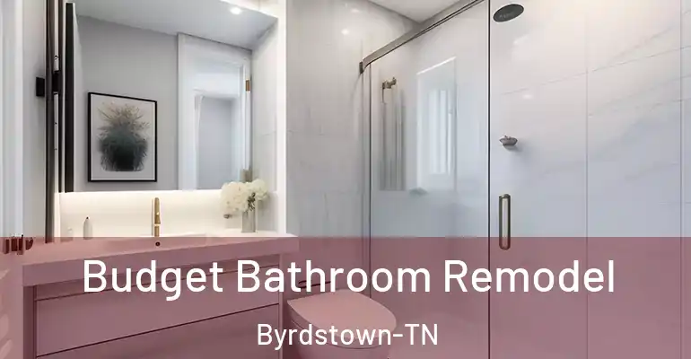 inner Bathroom imggen Budget Bathroom Remodel Byrdstown-TN