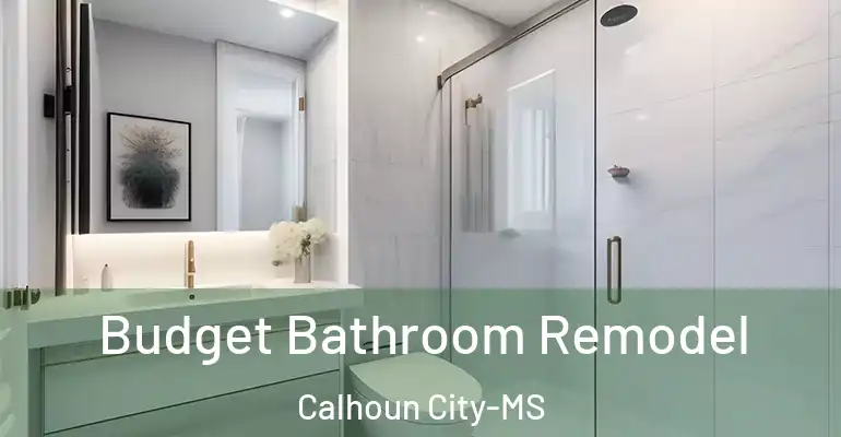 inner Bathroom imggen Budget Bathroom Remodel Calhoun City-MS