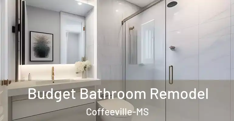 inner Bathroom imggen Budget Bathroom Remodel Coffeeville-MS