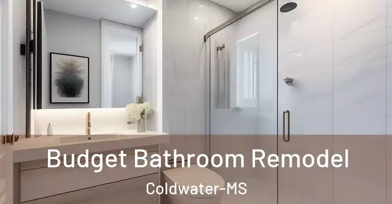 inner Bathroom imggen Budget Bathroom Remodel Coldwater-MS