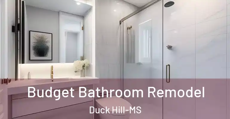 inner Bathroom imggen Budget Bathroom Remodel Duck Hill-MS