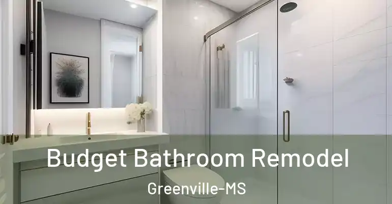 inner Bathroom imggen Budget Bathroom Remodel Greenville-MS