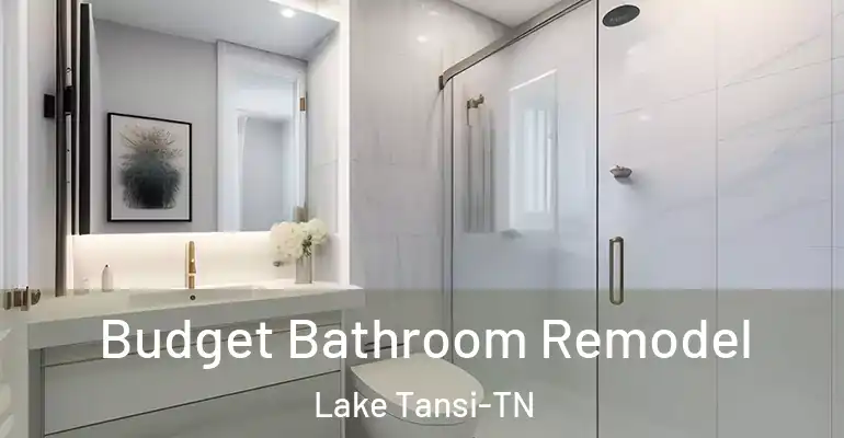 inner Bathroom imggen Budget Bathroom Remodel Lake Tansi-TN