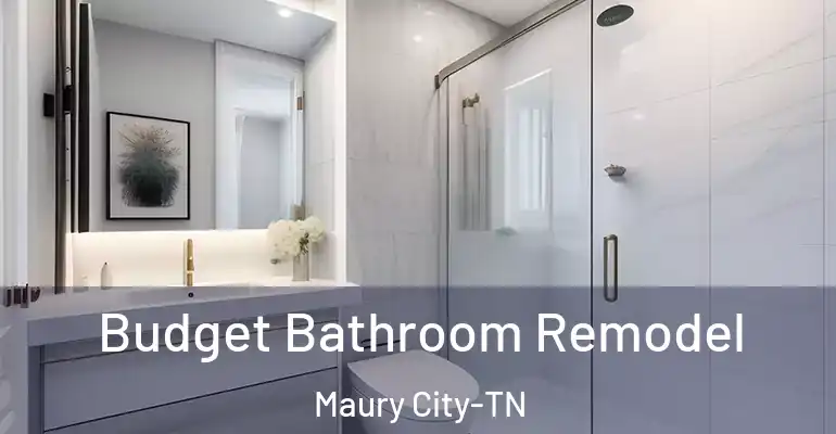 inner Bathroom imggen Budget Bathroom Remodel Maury City-TN