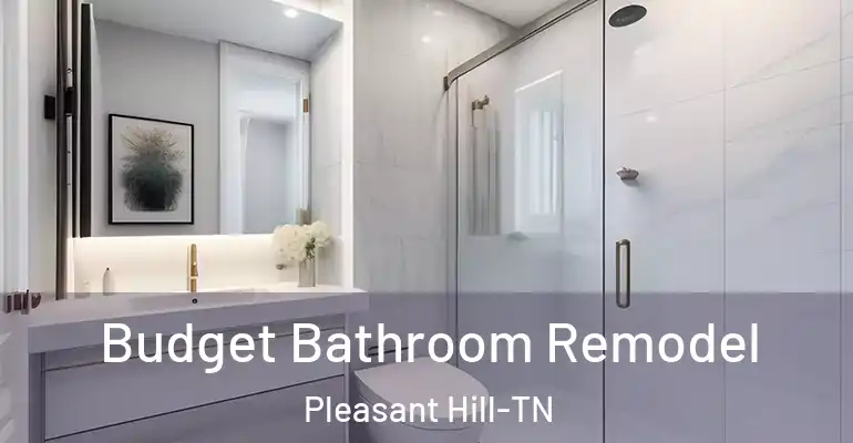 inner Bathroom imggen Budget Bathroom Remodel Pleasant Hill-TN
