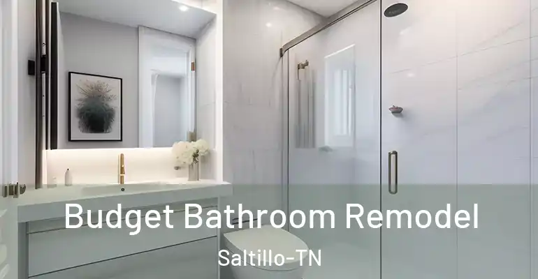 inner Bathroom imggen Budget Bathroom Remodel Saltillo-TN
