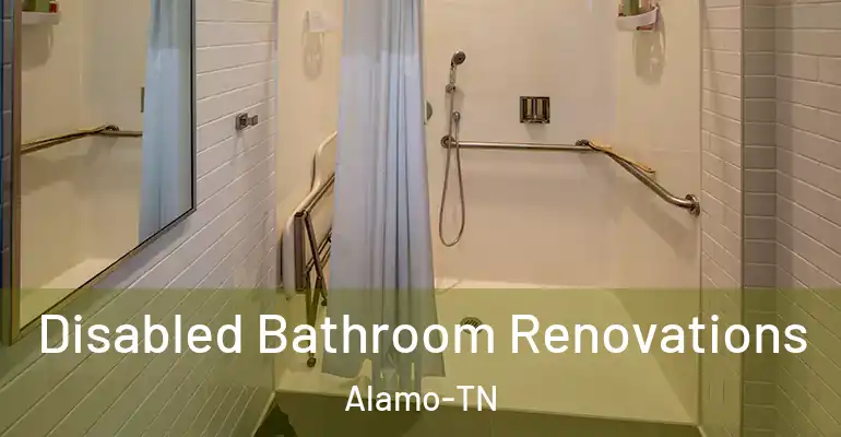 inner Bathroom imggen Disabled Bathroom Renovations Alamo-TN