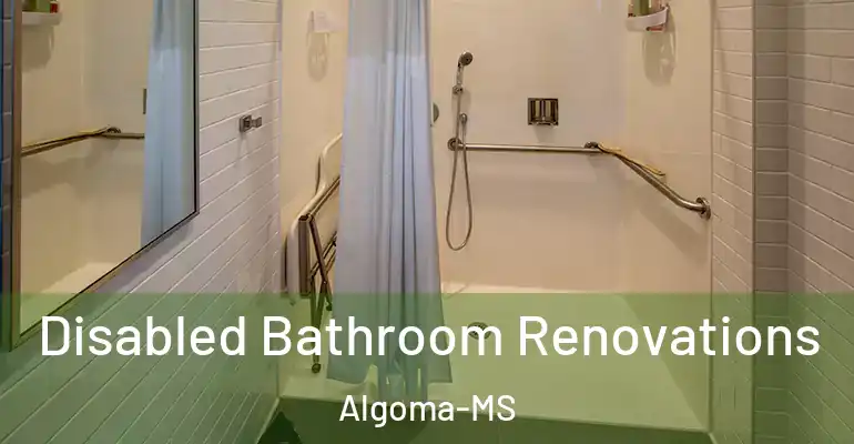 inner Bathroom imggen Disabled Bathroom Renovations Algoma-MS