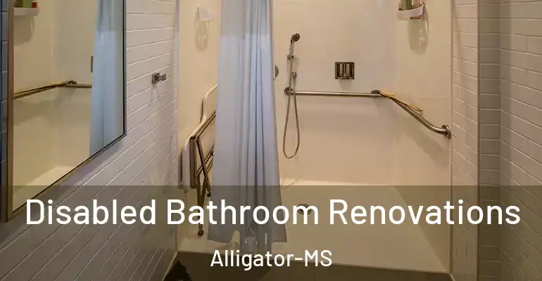 inner Bathroom imggen Disabled Bathroom Renovations Alligator-MS