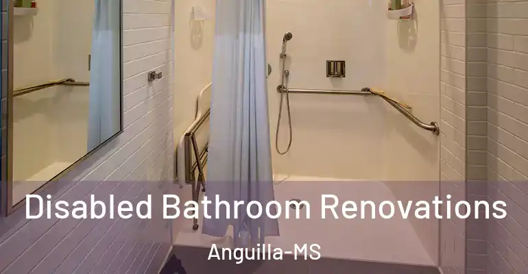 inner Bathroom imggen Disabled Bathroom Renovations Anguilla-MS