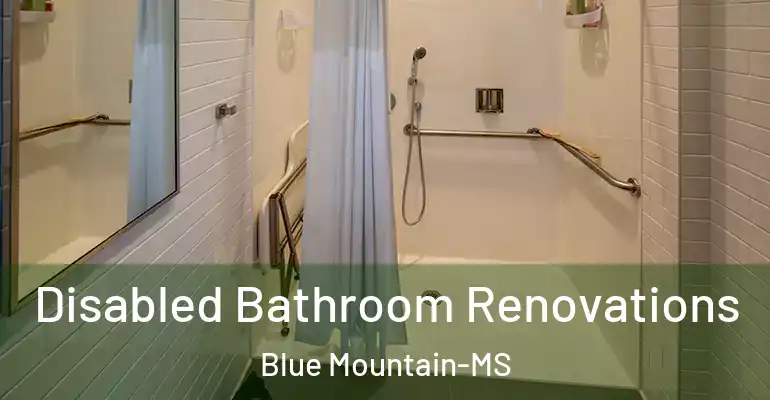 inner Bathroom imggen Disabled Bathroom Renovations Blue Mountain-MS