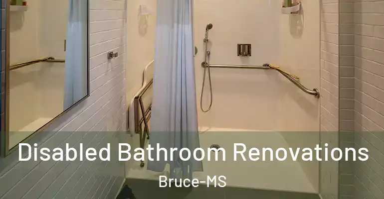 inner Bathroom imggen Disabled Bathroom Renovations Bruce-MS