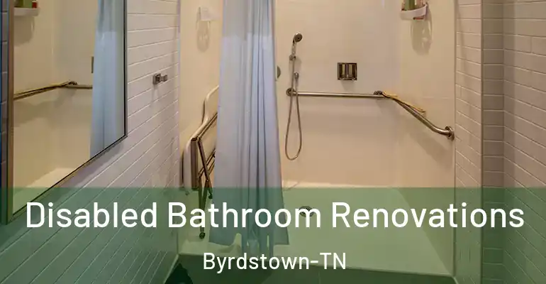 inner Bathroom imggen Disabled Bathroom Renovations Byrdstown-TN