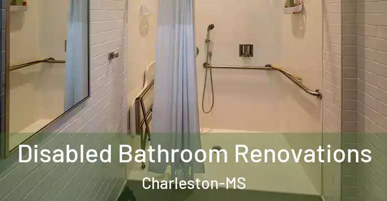 inner Bathroom imggen Disabled Bathroom Renovations Charleston-MS