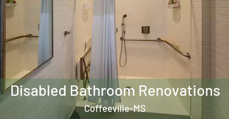 inner Bathroom imggen Disabled Bathroom Renovations Coffeeville-MS
