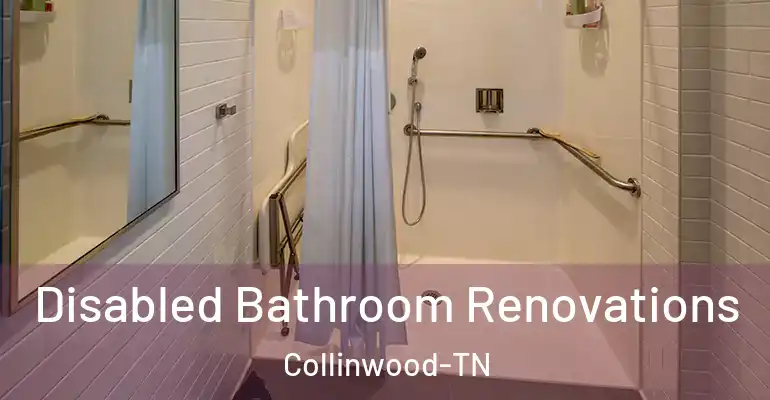 inner Bathroom imggen Disabled Bathroom Renovations Collinwood-TN
