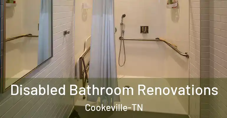 inner Bathroom imggen Disabled Bathroom Renovations Cookeville-TN