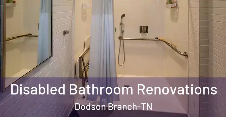 inner Bathroom imggen Disabled Bathroom Renovations Dodson Branch-TN