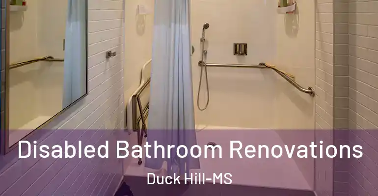 inner Bathroom imggen Disabled Bathroom Renovations Duck Hill-MS