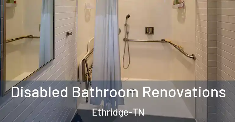 inner Bathroom imggen Disabled Bathroom Renovations Ethridge-TN