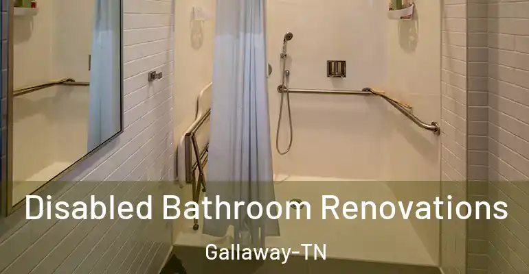 inner Bathroom imggen Disabled Bathroom Renovations Gallaway-TN