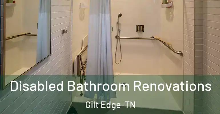 inner Bathroom imggen Disabled Bathroom Renovations Gilt Edge-TN