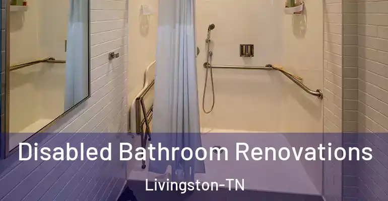 inner Bathroom imggen Disabled Bathroom Renovations Livingston-TN