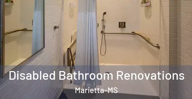 inner Bathroom imggen Disabled Bathroom Renovations Marietta-MS