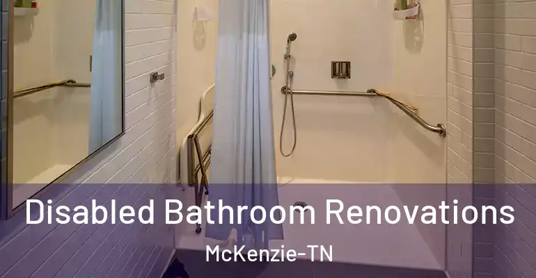 inner Bathroom imggen Disabled Bathroom Renovations McKenzie-TN