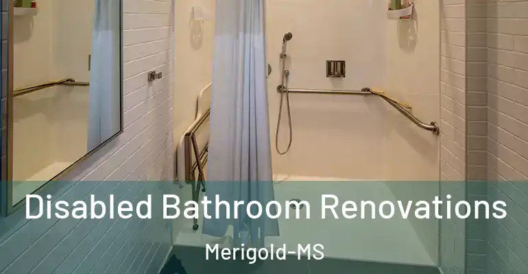 inner Bathroom imggen Disabled Bathroom Renovations Merigold-MS