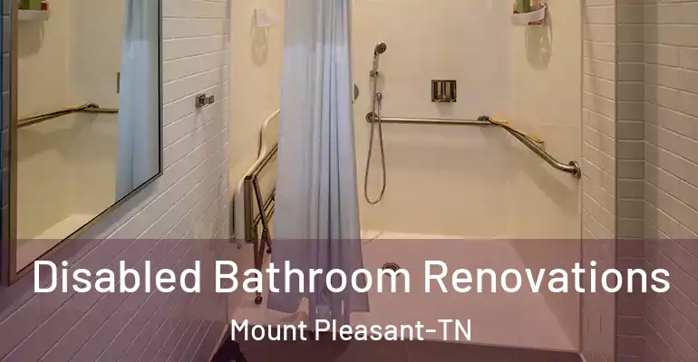 inner Bathroom imggen Disabled Bathroom Renovations Mount Pleasant-TN