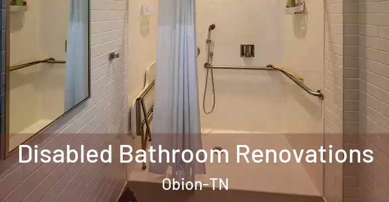 inner Bathroom imggen Disabled Bathroom Renovations Obion-TN