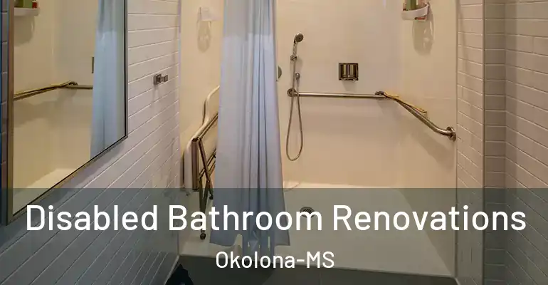 inner Bathroom imggen Disabled Bathroom Renovations Okolona-MS