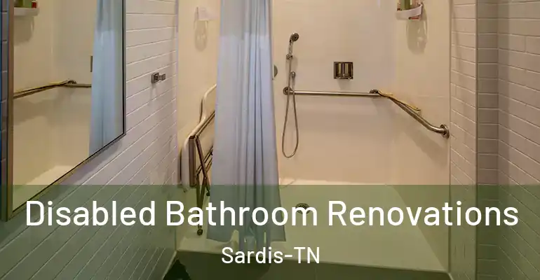 inner Bathroom imggen Disabled Bathroom Renovations Sardis-TN