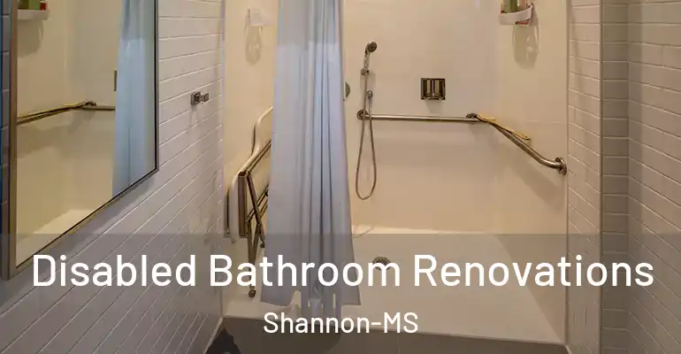 inner Bathroom imggen Disabled Bathroom Renovations Shannon-MS