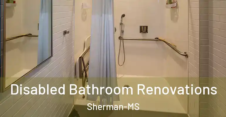 inner Bathroom imggen Disabled Bathroom Renovations Sherman-MS