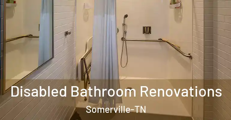 inner Bathroom imggen Disabled Bathroom Renovations Somerville-TN