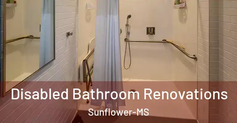 inner Bathroom imggen Disabled Bathroom Renovations Sunflower-MS