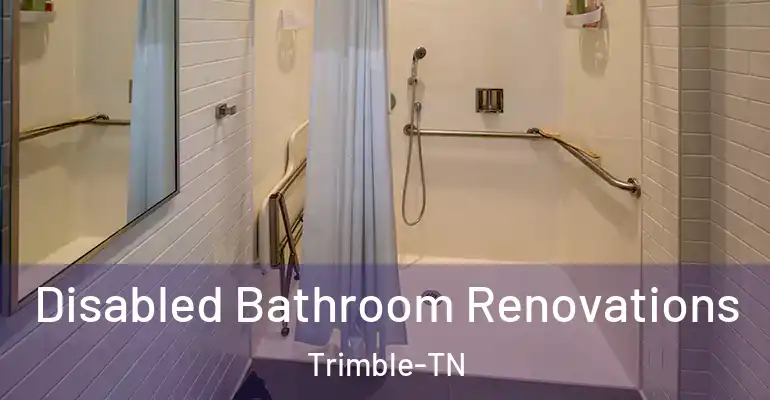 inner Bathroom imggen Disabled Bathroom Renovations Trimble-TN