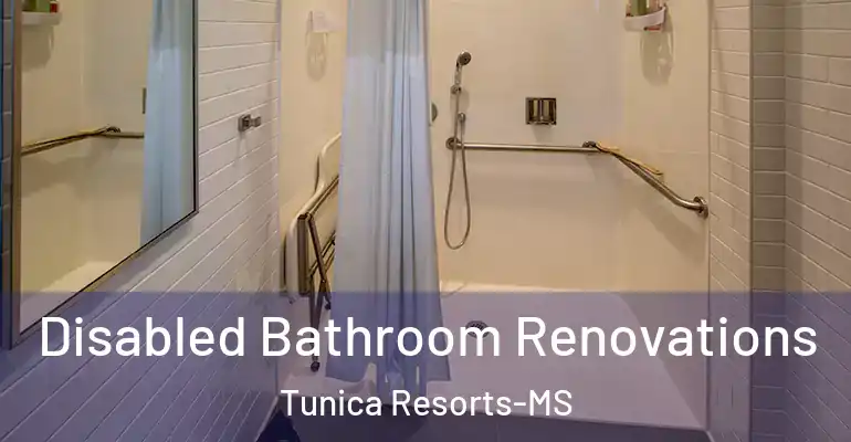 inner Bathroom imggen Disabled Bathroom Renovations Tunica Resorts-MS