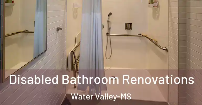 inner Bathroom imggen Disabled Bathroom Renovations Water Valley-MS