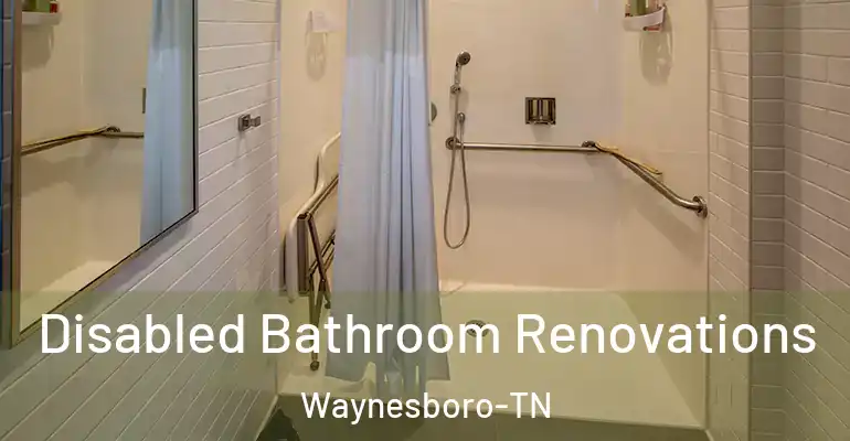 inner Bathroom imggen Disabled Bathroom Renovations Waynesboro-TN