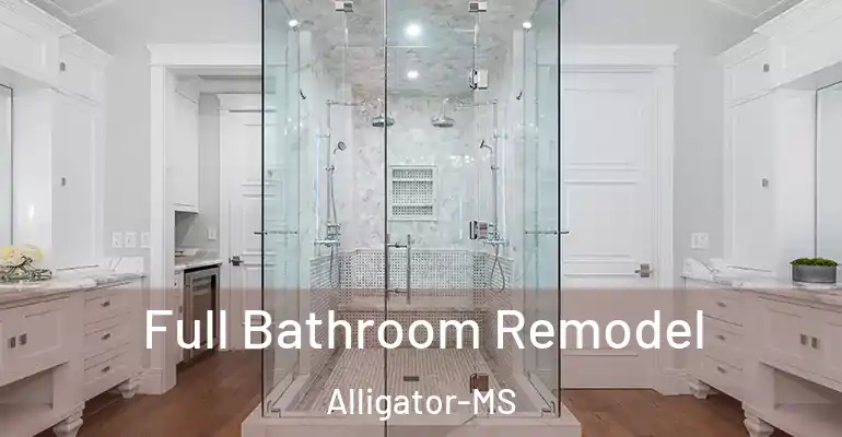 inner Bathroom imggen Full Bathroom Remodel Alligator-MS