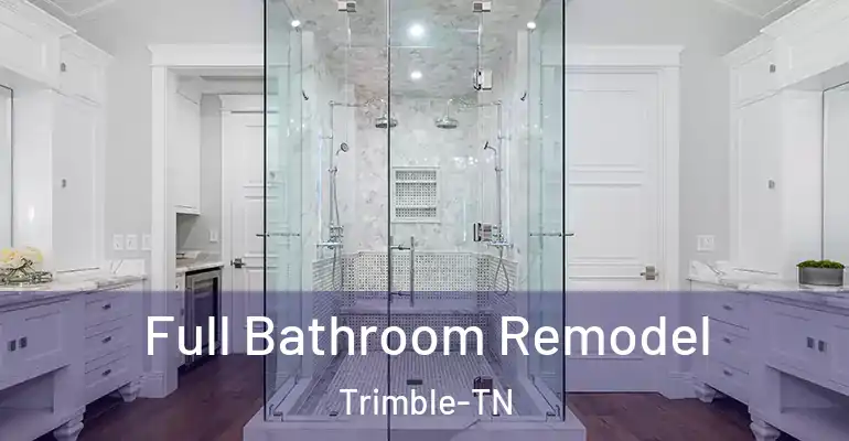 inner Bathroom imggen Full Bathroom Remodel Trimble-TN
