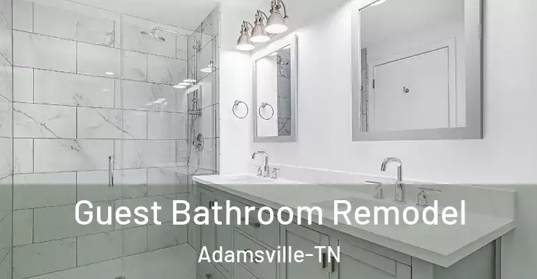 inner Bathroom imggen Guest Bathroom Remodel Adamsville-TN