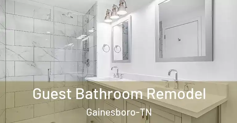 inner Bathroom imggen Guest Bathroom Remodel Gainesboro-TN