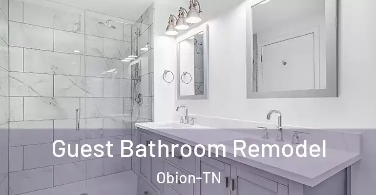 inner Bathroom imggen Guest Bathroom Remodel Obion-TN